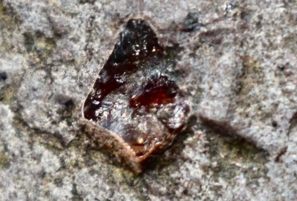 Rekordméretű drágakövet találtak Dél-Szlovákiában – ez a legnagyobb az egész Kárpátokban