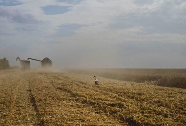 Szlovák agrárkamara: Ukrajna EU-csatlakozása komoly kihívás elé állíthatja a hazai termelőket