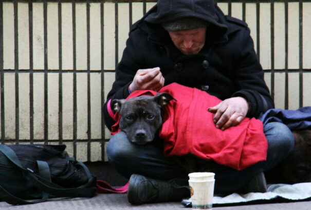 Tilos lesz kutyával koldulni Magyarországon