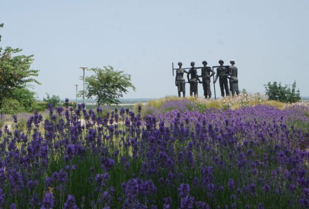 Zavartalan napsütés várható szerdán