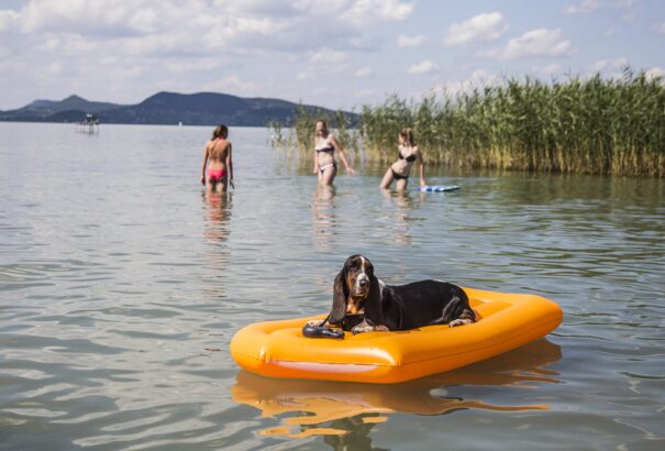 Jócskán emelkedtek a strandbelépők árai a Balatonnál