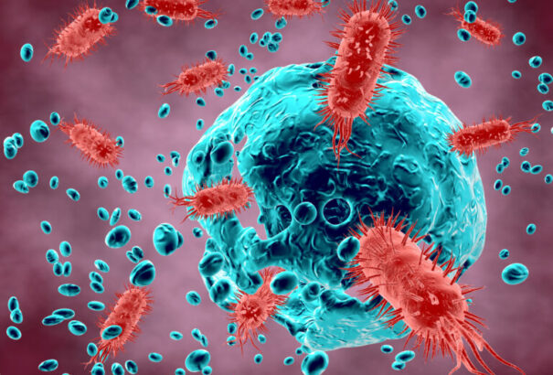 Európa az elmúlt 70 év legnagyobb torokgyík járványával küzd