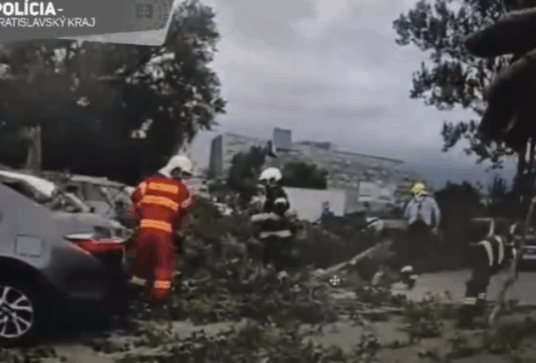 Fák dőltek az autókra Pozsonyban