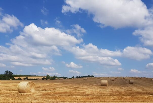 Napos, gomolyfelhős idő várható szerdán