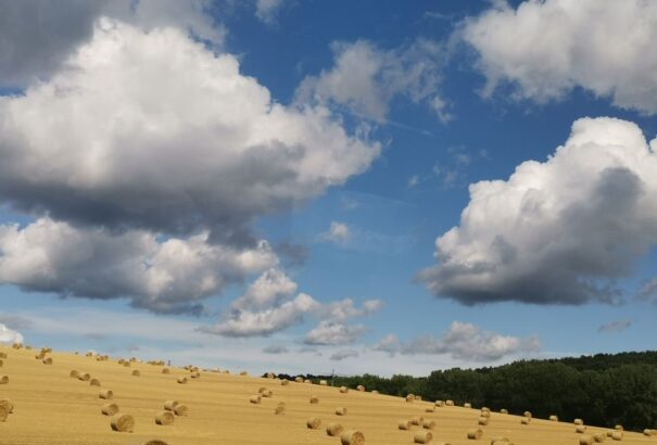 Napos, meleg, igazi nyári idő várható szerdán