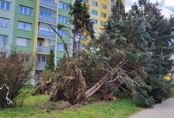 Több mint 800 000 eurós kárt okozott a múlt heti szélvihar Kelet-Szlovákiában