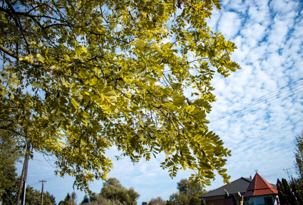 Lassan visszatér a melegebb, nyárias időjárás