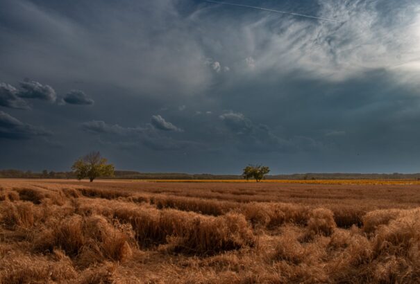 Esős, borongós és kifejezetten hűvös időnk lesz kedden