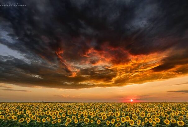 Perzselő napsütésre számíthatunk szerdán