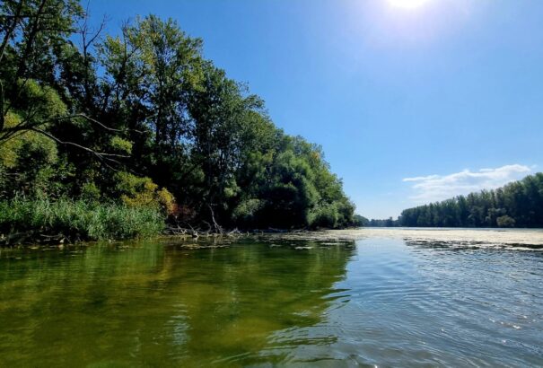 Visszatér a kánikula – Hőhullámra figyelmeztetnek a meteorológusok