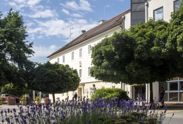 Kifizeted, ha még élsz. Orvos nincs, parkoló sincs, válasz sincs – Somorján minden rendben