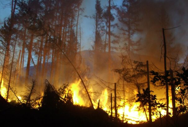 20 éve tombolt a legnagyobb tűzvész a Tátrai Nemzeti Park történetében