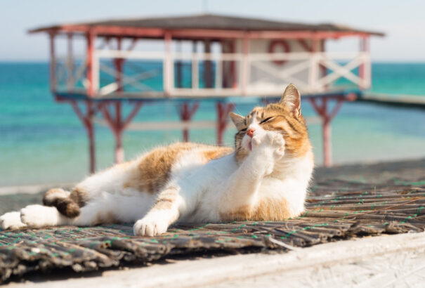 Folytatódik a forróság