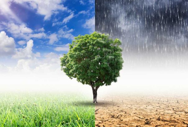 Szárazság, hőség és eső: a klimatológusok szerint az időjárás-ingadozások egyre tovább fognak tartani