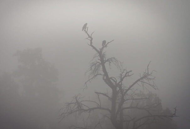 Kerepesi Igor: Párbeszédek 01 – Örvény