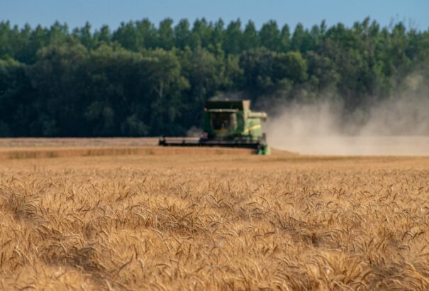 A nehézségek ellenére is rekordtermést hozott az idei aratás Szlovákiában