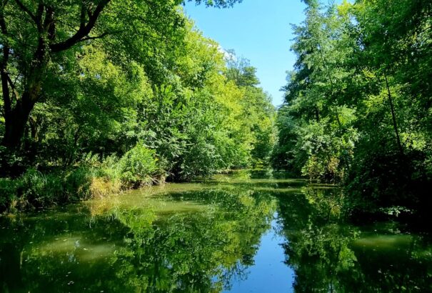Viharokra figyelmeztetnek Szlovákia keleti és középső részein