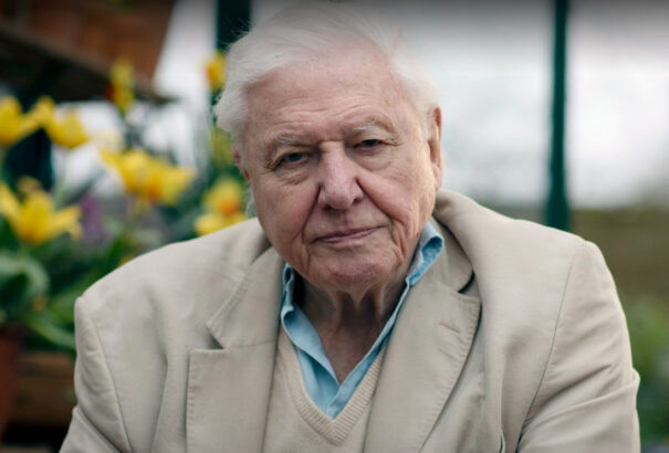 A természet csodái visszatérnek – Őszi vasárnapok David Attenborough társaságában a Dunán