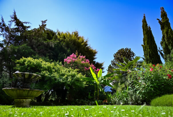 Kerttulajdonosok, figyelem! Az új építési szabályok a telkeiteket is érinthetik – mit kell tudni a bírságok elkerülése érdekében?