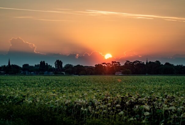 Visszatért a nyár, de már csak napjai vannak hátra: drasztikus lehűlés érkezik