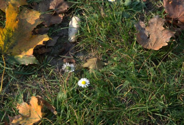 Változékony idővel zárul a hét