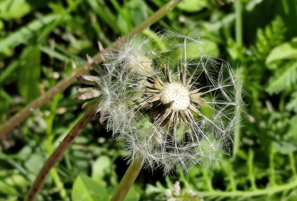 Nyugodt, meleg idővel köszönt be a hétvége