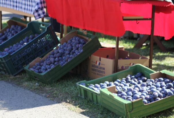 Tóth Ferenc: „Drága kicsi szilvafácska, nőj nekem….” – Lekvár és gombóc, lepény és kisüsti
