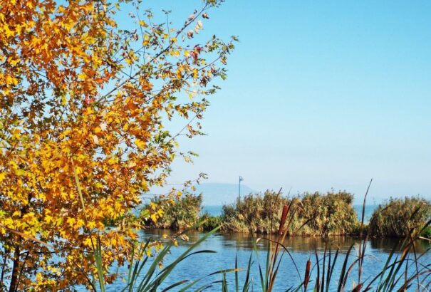 Kellemes, napos idővel indul a hét