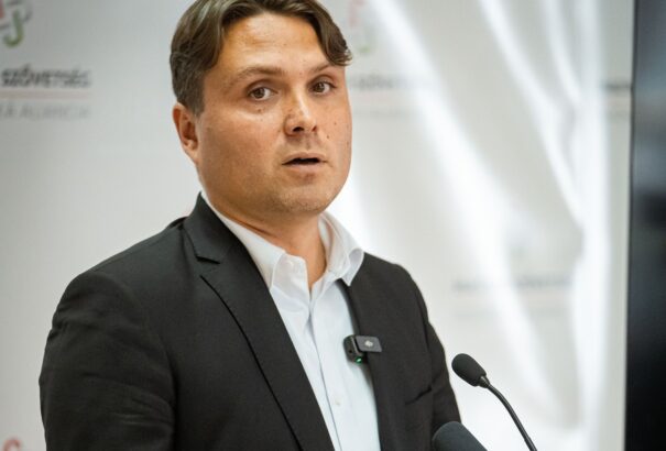 Gubík diadaljelentése és a valóság – időközi választások Magyar Szövetség-módra