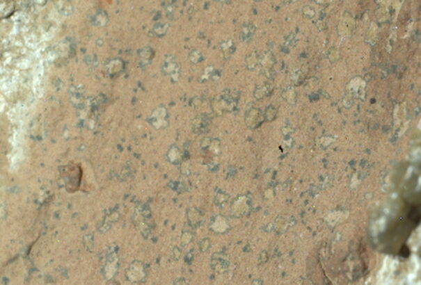 Leopárdmintás kőzet a Marson: a Perseverance újra felveti a marsi élet lehetőségét