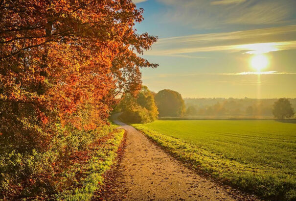 Élvezzük ki az utolsó meleg szeptemberi napot