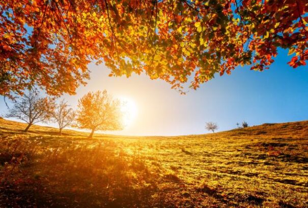 Napos, friss időre számíthatunk szerdán