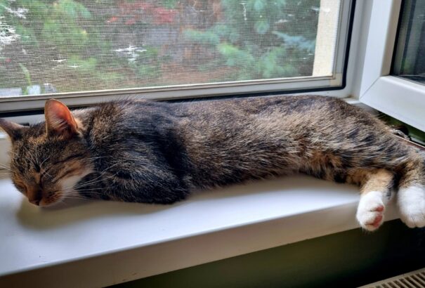 Borult, csapadékos idővel zárul a hétvége