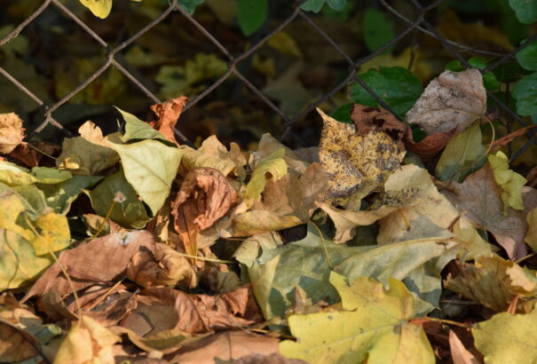 Borús, de enyhe időnk lesz a munkahét közepén