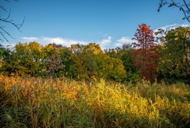 Hétfőn tetőzik a felmelegedés, de már úton van a hidegfront
