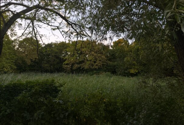 Változékony idő lesz, a hegyekben viharos szél várható