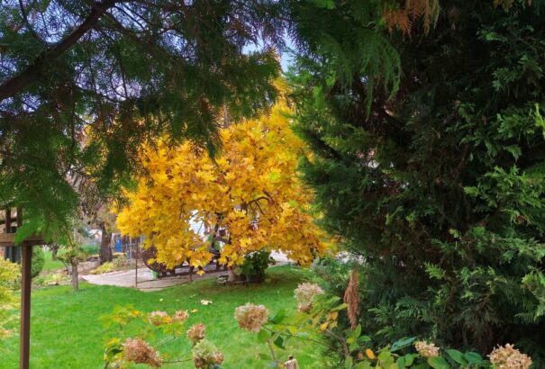 Marad az enyhe őszi idő, szerdán 18 fok is lehet