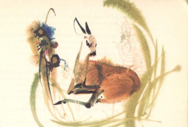 Tóth Ferenc: Bambi halála – Tetemek az utakon