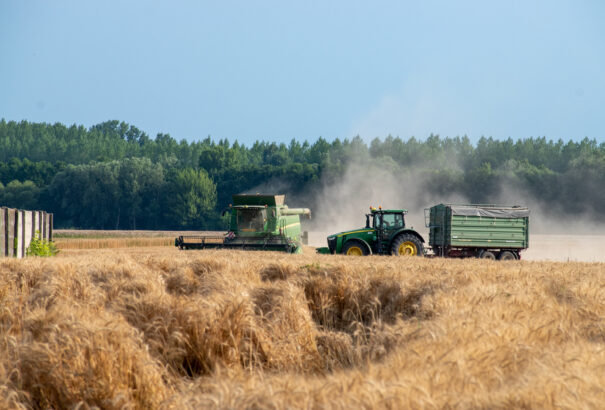 Brüsszel akár be is perelheti Szlovákiát, Magyarországot és Lengyelországot az ukrán importtilalom miatt