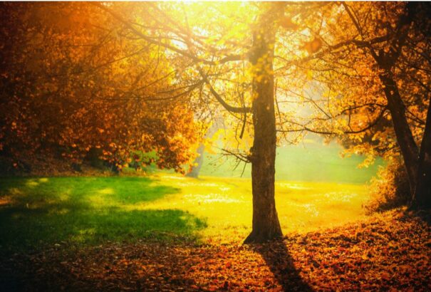 Meglepő fordulat novemberben: Húsz fok feletti meleg jöhet a hideg rajt után