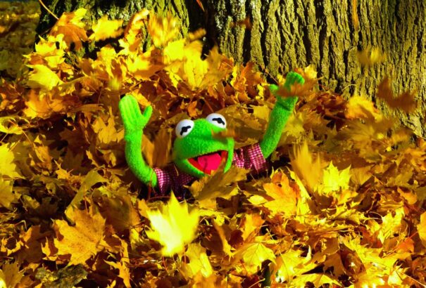 Kora tavasz október végén: 21 fokot is mérhetünk csütörtökön