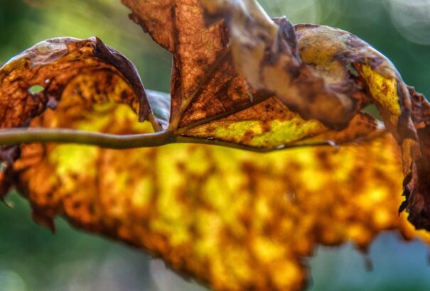 Szerdán napos időnk lesz