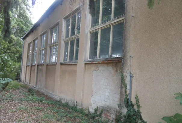 Király Zsolt: Gyimesi győzött ott, ahol a Magyar Szövetség elbukott – Léva hatéves harca a magyar iskola tornaterméért