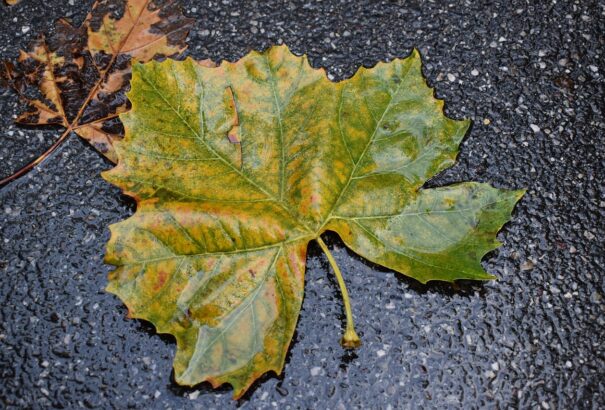 Napsütésre inkább ne várjunk vasárnap