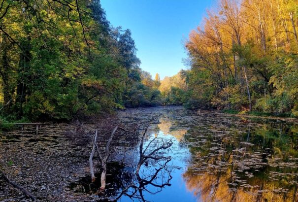 Gyönyörű őszi időnk lesz