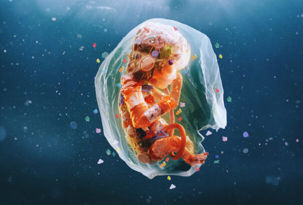 Mikroműanyagok az emberi bélben: komoly hatással lehetnek a mikrobiomra és az egészségre