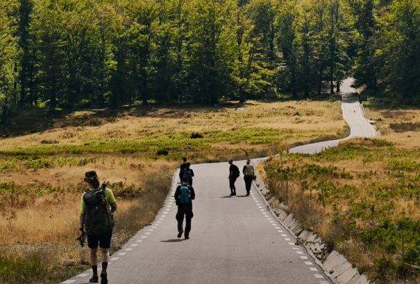 Ismét járható a Via Transilvanica Parajdon áthaladó szakasza
