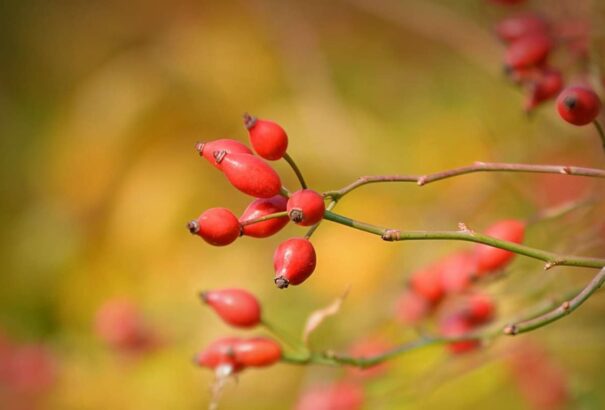 Napos idővel zárul a munkahét