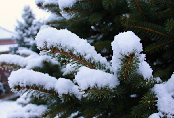 Megérkezett az előrejelzés: napokon belül megmutatja magát a tél