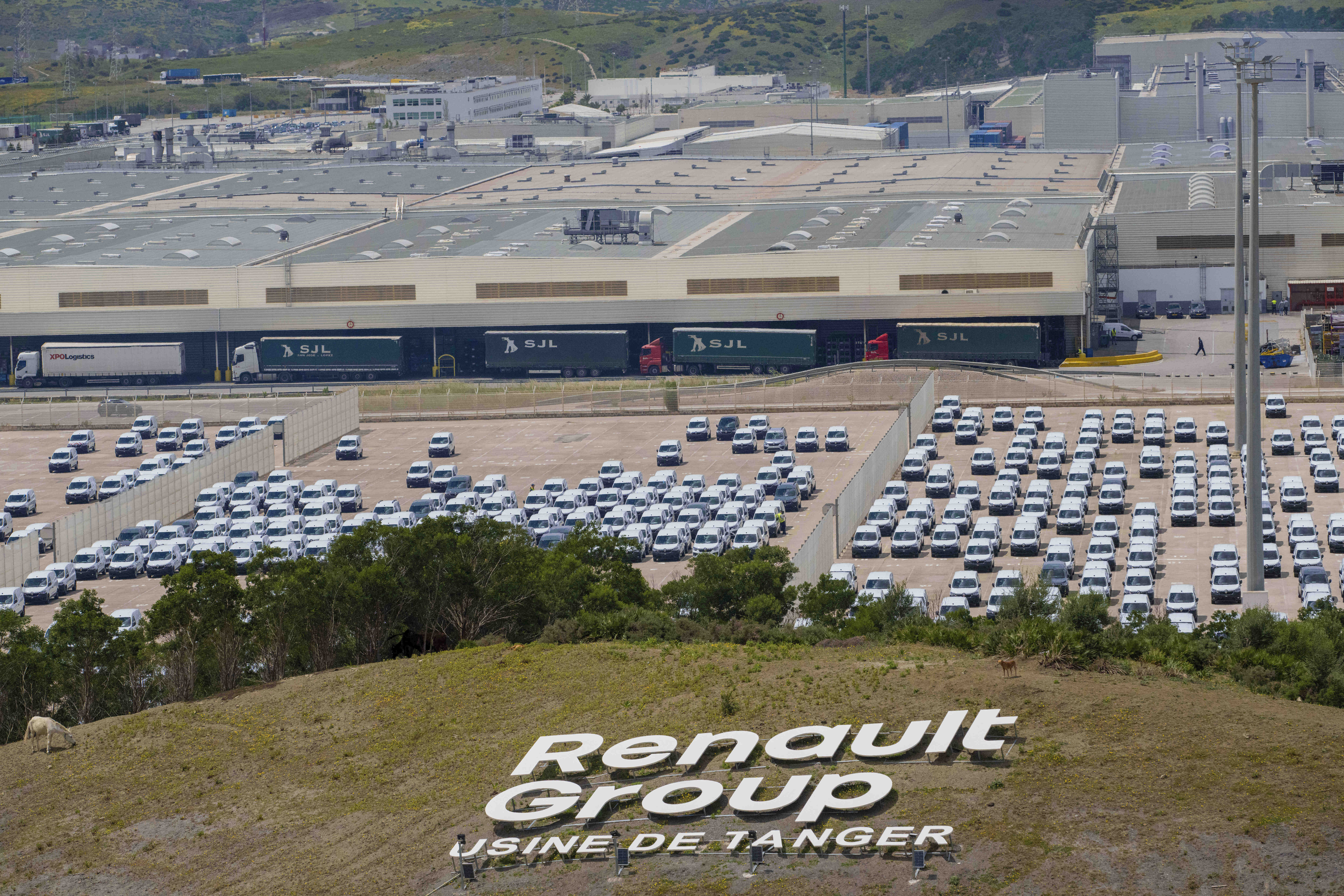 Renault: visszatérhetnek a benzines Mégane és Scénic modellek